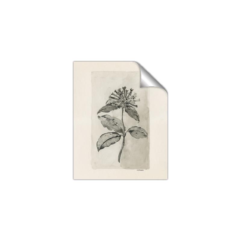 Picture of Vintage Flower II _GroupedProduct_Rectangle_Portrait_Unframed_Print_Only_