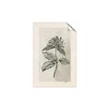 Picture of Vintage Flower II _GroupedProduct_Rectangle_Portrait_Unframed_Print_Only_