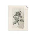 Picture of Vintage Flower II _GroupedProduct_Rectangle_Portrait_Unframed_Print_Only_