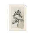 Picture of Vintage Flower II _GroupedProduct_Rectangle_Portrait_Unframed_Print_Only_