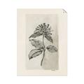 Picture of Vintage Flower II _GroupedProduct_Rectangle_Portrait_Unframed_Print_Only_