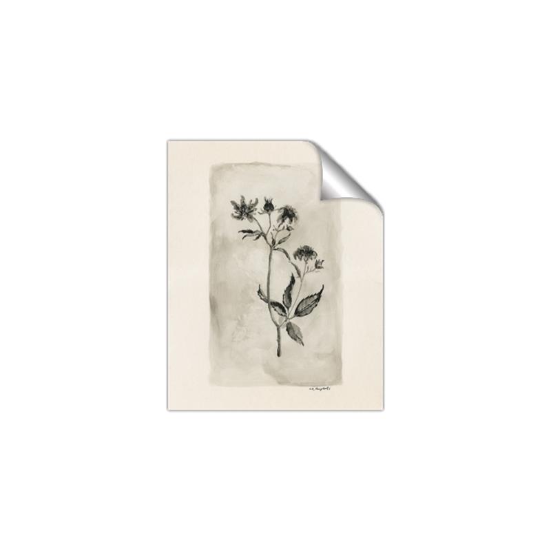 Picture of Vintage Flower IV _GroupedProduct_Rectangle_Portrait_Unframed_Print_Only_