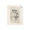Picture of Vintage Flower IV _GroupedProduct_Rectangle_Portrait_Unframed_Print_Only_