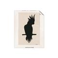 Picture of Vintage Cockatoo _GroupedProduct_Rectangle_Portrait_Unframed_Print_Only_