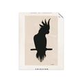 Picture of Vintage Cockatoo _GroupedProduct_Rectangle_Portrait_Unframed_Print_Only_