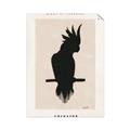 Picture of Vintage Cockatoo _GroupedProduct_Rectangle_Portrait_Unframed_Print_Only_