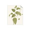 Picture of Leaf Mirage I _GroupedProduct_Rectangle_Portrait_Unframed_Print_Only_