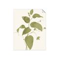 Picture of Leaf Mirage I _GroupedProduct_Rectangle_Portrait_Unframed_Print_Only_