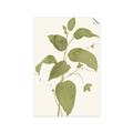 Picture of Leaf Mirage I _GroupedProduct_Rectangle_Portrait_Unframed_Print_Only_