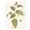 Picture of Leaf Mirage I _GroupedProduct_Rectangle_Portrait_Unframed_Print_Only_