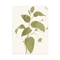 Picture of Leaf Mirage I _GroupedProduct_Rectangle_Portrait_Unframed_Print_Only_