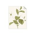 Picture of Leaf Mirage II _GroupedProduct_Rectangle_Portrait_Unframed_Print_Only_