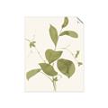 Picture of Leaf Mirage II _GroupedProduct_Rectangle_Portrait_Unframed_Print_Only_