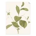 Picture of Leaf Mirage II _GroupedProduct_Rectangle_Portrait_Unframed_Print_Only_