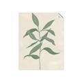 Picture of Swaying Foliage I _GroupedProduct_Rectangle_Portrait_Unframed_Print_Only_