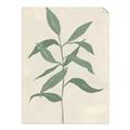 Picture of Swaying Foliage I _GroupedProduct_Rectangle_Portrait_Unframed_Print_Only_