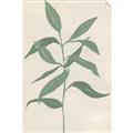 Picture of Swaying Foliage I _GroupedProduct_Rectangle_Portrait_Unframed_Print_Only_