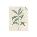 Picture of Swaying Foliage II _GroupedProduct_Rectangle_Portrait_Unframed_Print_Only_