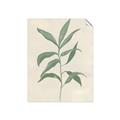 Picture of Swaying Foliage II _GroupedProduct_Rectangle_Portrait_Unframed_Print_Only_