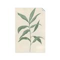 Picture of Swaying Foliage II _GroupedProduct_Rectangle_Portrait_Unframed_Print_Only_