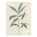 Picture of Swaying Foliage II _GroupedProduct_Rectangle_Portrait_Unframed_Print_Only_