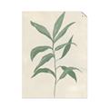 Picture of Swaying Foliage II _GroupedProduct_Rectangle_Portrait_Unframed_Print_Only_