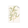 Picture of Botanical Strand I _GroupedProduct_Rectangle_Portrait_Unframed_Print_Only_