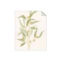 Picture of Botanical Strand I _GroupedProduct_Rectangle_Portrait_Unframed_Print_Only_