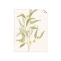 Picture of Botanical Strand I _GroupedProduct_Rectangle_Portrait_Unframed_Print_Only_