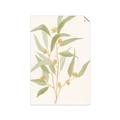 Picture of Botanical Strand I _GroupedProduct_Rectangle_Portrait_Unframed_Print_Only_