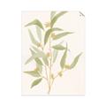 Picture of Botanical Strand I _GroupedProduct_Rectangle_Portrait_Unframed_Print_Only_