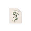 Picture of Swaying Foliage III _GroupedProduct_Rectangle_Portrait_Unframed_Print_Only_