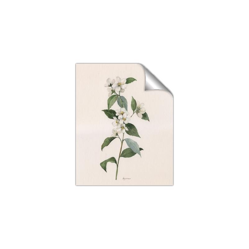 Picture of Swaying Foliage III _GroupedProduct_Rectangle_Portrait_Unframed_Print_Only_