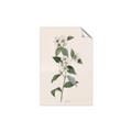 Picture of Swaying Foliage III _GroupedProduct_Rectangle_Portrait_Unframed_Print_Only_