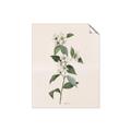 Picture of Swaying Foliage III _GroupedProduct_Rectangle_Portrait_Unframed_Print_Only_