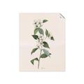 Picture of Swaying Foliage III _GroupedProduct_Rectangle_Portrait_Unframed_Print_Only_
