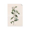 Picture of Swaying Foliage III _GroupedProduct_Rectangle_Portrait_Unframed_Print_Only_