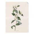 Picture of Swaying Foliage III _GroupedProduct_Rectangle_Portrait_Unframed_Print_Only_