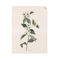 Picture of Swaying Foliage III _GroupedProduct_Rectangle_Portrait_Unframed_Print_Only_
