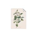 Picture of Swaying Foliage IV _GroupedProduct_Rectangle_Portrait_Unframed_Print_Only_