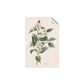 Picture of Swaying Foliage IV _GroupedProduct_Rectangle_Portrait_Unframed_Print_Only_