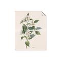 Picture of Swaying Foliage IV _GroupedProduct_Rectangle_Portrait_Unframed_Print_Only_