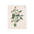 Picture of Swaying Foliage IV _GroupedProduct_Rectangle_Portrait_Unframed_Print_Only_