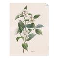 Picture of Swaying Foliage IV _GroupedProduct_Rectangle_Portrait_Unframed_Print_Only_