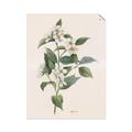 Picture of Swaying Foliage IV _GroupedProduct_Rectangle_Portrait_Unframed_Print_Only_