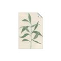 Picture of Swaying Foliage V _GroupedProduct_Rectangle_Portrait_Unframed_Print_Only_