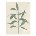 Picture of Swaying Foliage V _GroupedProduct_Rectangle_Portrait_Unframed_Print_Only_