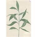 Picture of Swaying Foliage V _GroupedProduct_Rectangle_Portrait_Unframed_Print_Only_