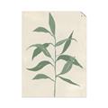 Picture of Swaying Foliage V _GroupedProduct_Rectangle_Portrait_Unframed_Print_Only_