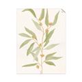 Picture of Botanical Strand III _GroupedProduct_Rectangle_Portrait_Unframed_Print_Only_